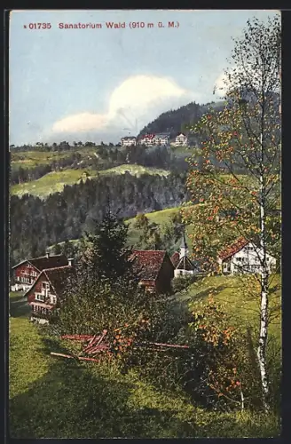 AK Wald /ZH, Sanatorium mit Birke