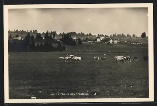 AK La Chaux des Breuleux, Vue panoramique
