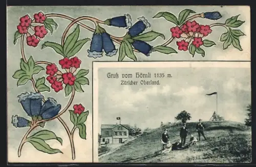 AK Wetzikon /ZH, Blick auf den Hörnli im Züricher Oberland