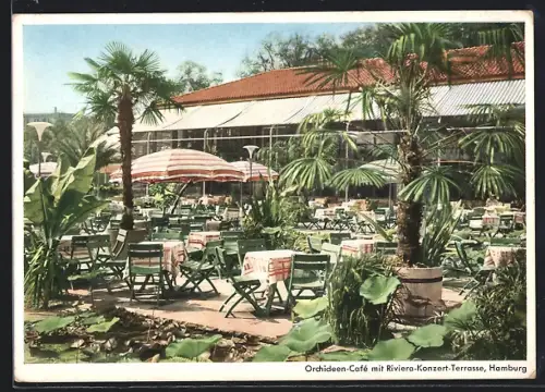 AK Hamburg-St. Pauli, Orchideen-Café mit Riviera-Konzert-Terrasse, Planten und Blomen