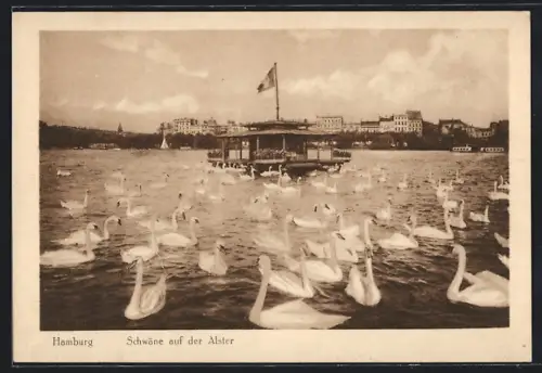 AK Hamburg, Schwäne auf der Alster