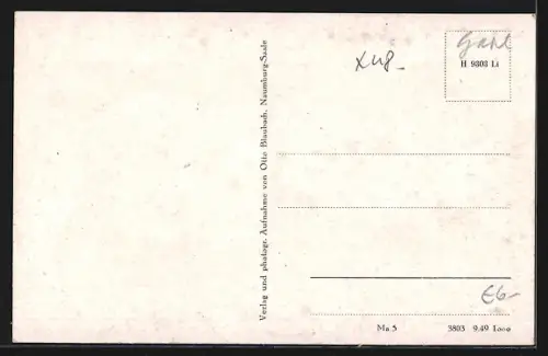 AK Steinburg / Saale, Blick auf Schloss und Kirche