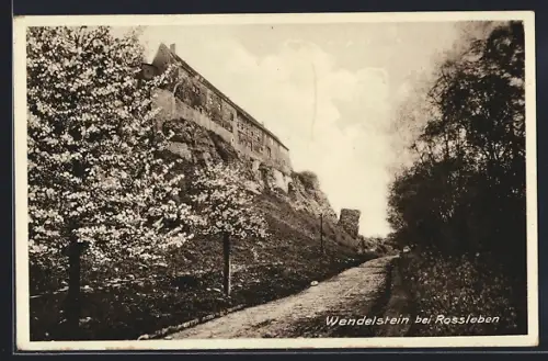 AK Wendelstein / Rossleben, Blick zum Ort mit blühenden Bäumen
