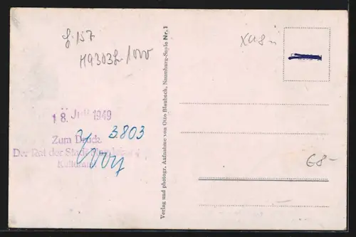 AK Steinburg / Saale, Blick auf das Schloss