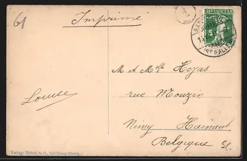 AK Rapperswil, Teilansicht und Zürichsee mit Segelbooten