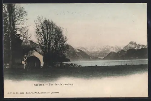 AK Luzern, Tribschen