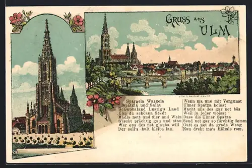 Lithographie Ulm / Donau, Münster, Ortsansicht mit Münster