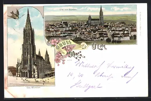 Lithographie Ulm / Donau, Ulm von Norden, Münster Frontalansicht