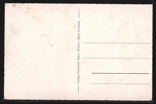 AK Weiden / Oberpfalz, An der Stadtmühle