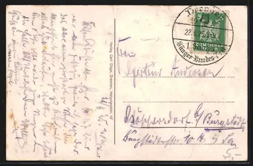 AK Dresden, 1. Sächs. Sängerbundesfest 1925, Elbpartie mit Halle