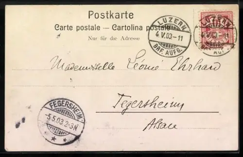 AK Lucerne, Arrivée à l`Hôtel Schweizerhof