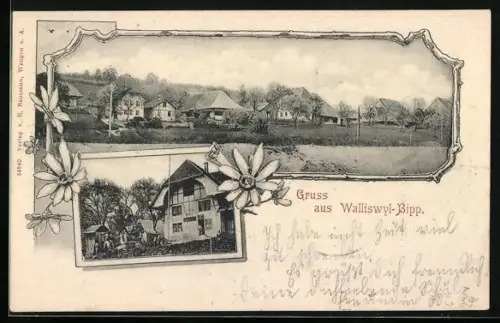 AK Walliswyl-Bipp, Gasthaus, Ortsansicht mit Wohnhäusern