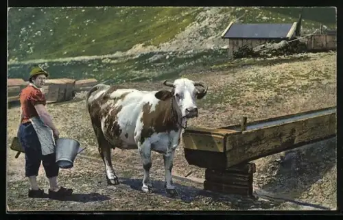AK Almbäuerin mit Melkschemel und Milcheimer neben der Kuh