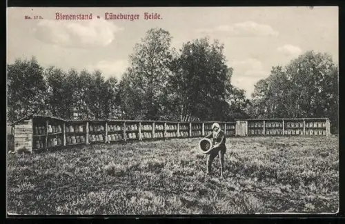 AK Bienenstand in der Lüneburger Heide, Imker bei der Arbeit