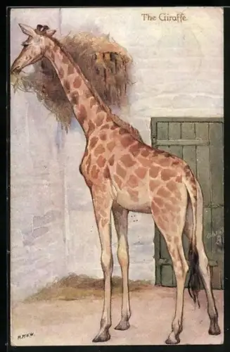 Künstler-AK Giraffe beim Fressen