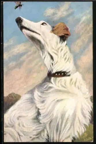 AK Windhund mit Wespe vor der Nase