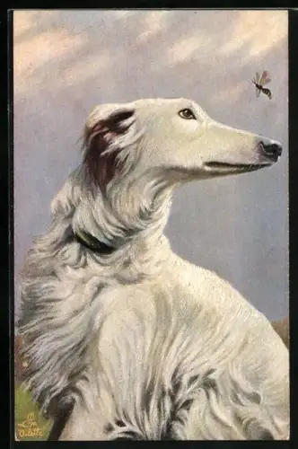Künstler-AK Weisser Windhund und Wespe, Auge in Auge