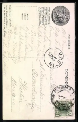 AK Prag, Páty slet Vsesokolsky v Praze 1907, Turner mit Fahne