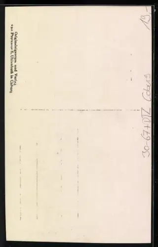 AK Coburg, Geburtstag Carl Eduard v. Sachsen Coburg u. Gotha 1915, Statue, Kriegshilfe