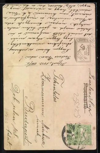 Künstler-AK Dame pflückt Weintrauben, Reklame für Seife der Firma Lysoform, Jugendstil