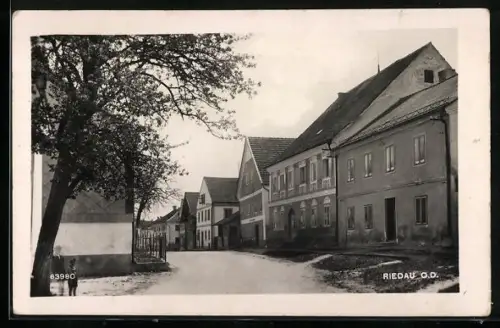 AK Riedau /O. D., Strassenpartie mit Wohnhäusern