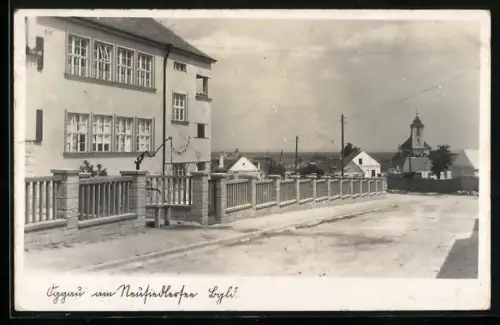 AK Oggau am Neusiedlersee, Strassenpartie mit Blick zur Kirche