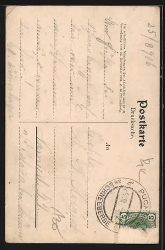 AK Puchberg am Schneeberge, Panorama mit Schneeberg