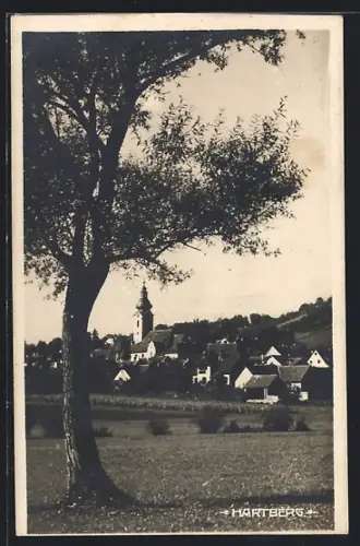 AK Hartberg, Ortsansicht von einer Wiese aus
