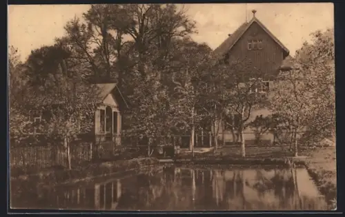 AK Dresden, Gasthof Fischhaus im Albert-Park