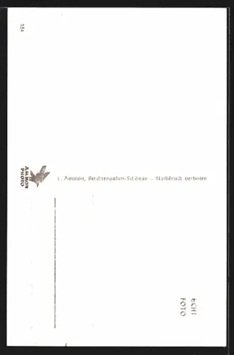 AK Berchtesgaden, Scharitzkehlalm, Hütten mit Hohem Göll