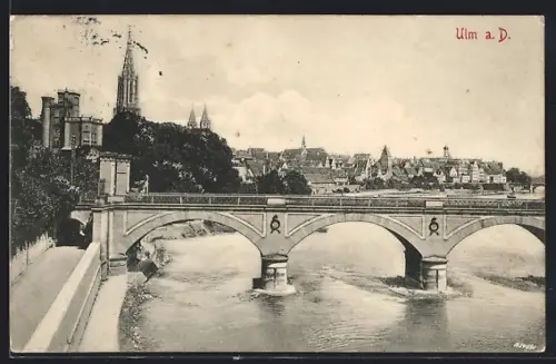 AK Ulm a. D., Brücke, Münster, Stadtansicht