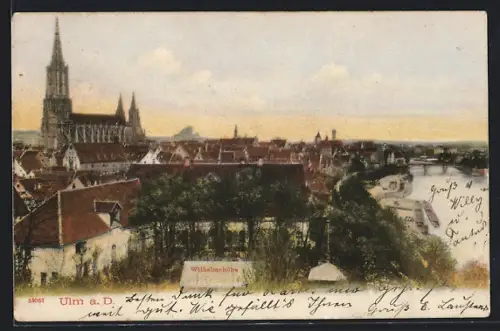 AK Ulm a. D., Münster, Donau, Wilhelmshöhe