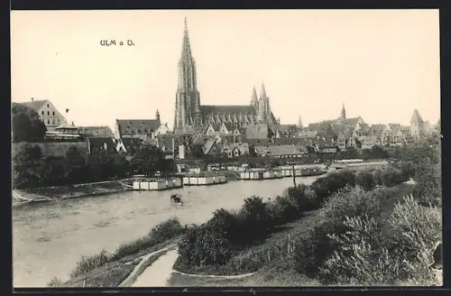 AK Ulm a. D., Münster, Stadtansicht, Donau