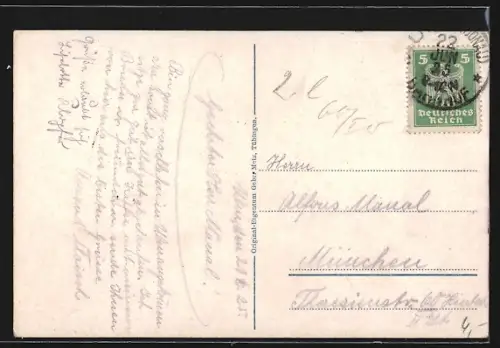 AK Ulm a. D., Münster, Stadtpanorama