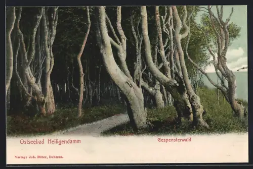 AK Heiligendamm, Gespensterwald