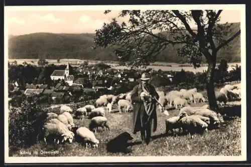 AK König im Odenwald, Schäfer mit Herde und Ortsansicht