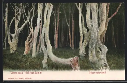 AK Heiligendamm, Gespensterwald