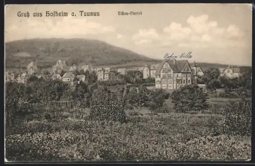 AK Hofheim a. Taunus, Villen-Viertel