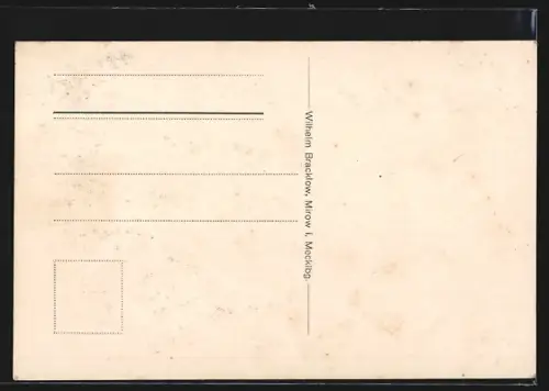 AK Mirow i. Mecklbg., Stadtpark