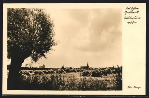 AK Greifswald, Ortsansicht aus der Ferne