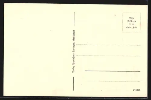 AK Greifswald, Ortsansicht aus der Ferne