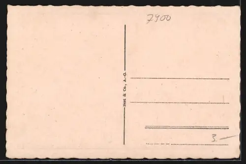 AK Ulm a. Donau, Stadtmauer, Münster