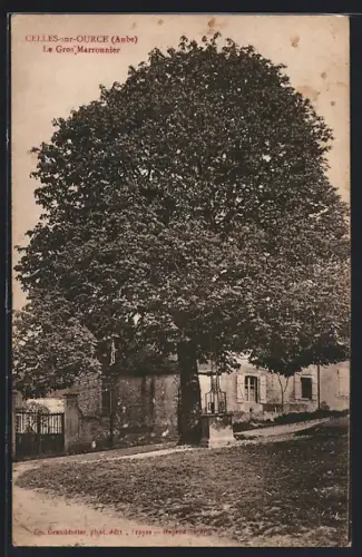 AK Celles-sur-Ource /Aube, Le Gros Marronnier