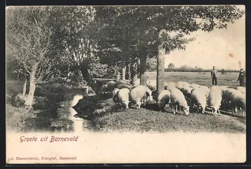 AK Barneveld, Panorama und Hirte mit Schafen