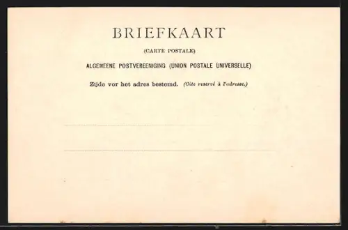 AK `s Gravenhage, De Vijver