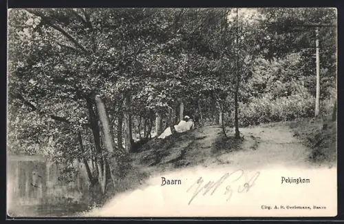 AK Baarn, Pekingkom