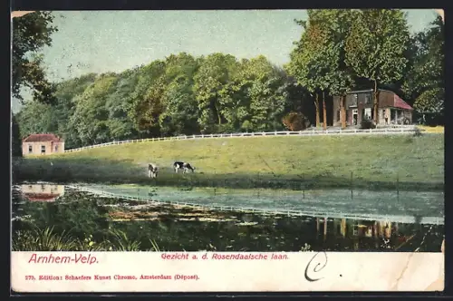 AK Arnhem-Velp, Gezicht a. d. Rosendaalsche laan
