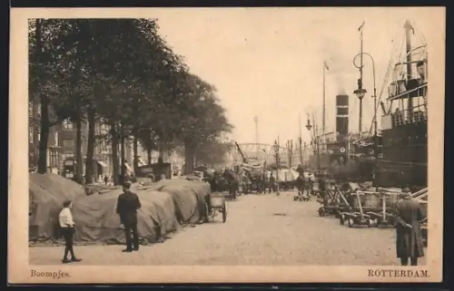 AK Rotterdam, Boompjes