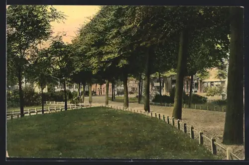AK Zaandam, Parkanlage mit Promenade und Blick auf Häuser