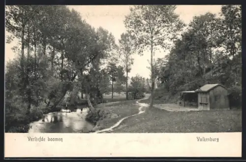 AK Valkenburg, Verliefde boomen